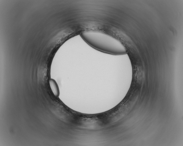 X0000112870548200910021335