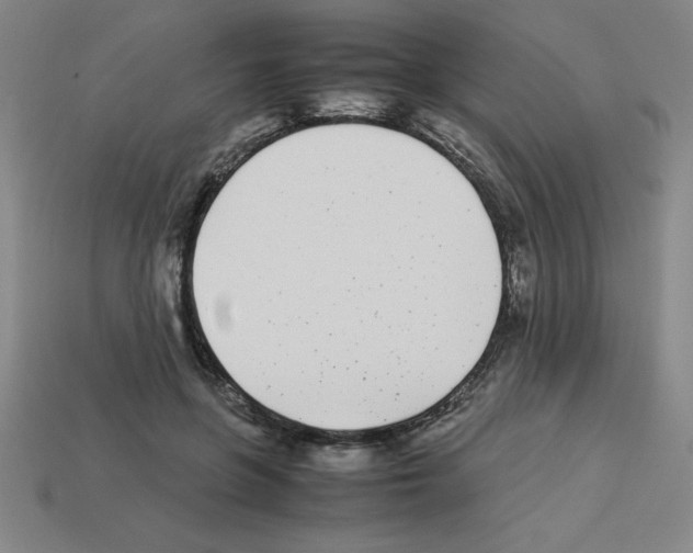 X0000112870551200910021335