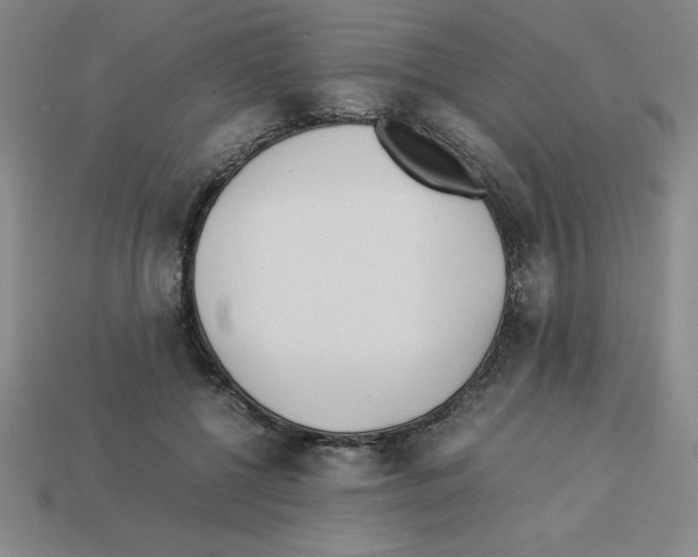 X0000112870552200910021335