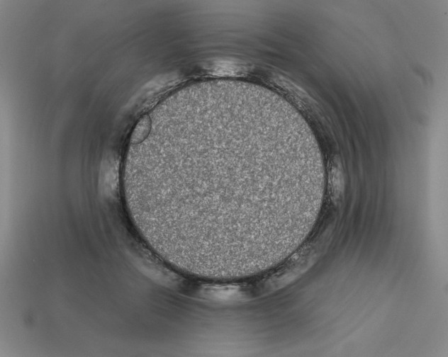 X0000112870554200910021335