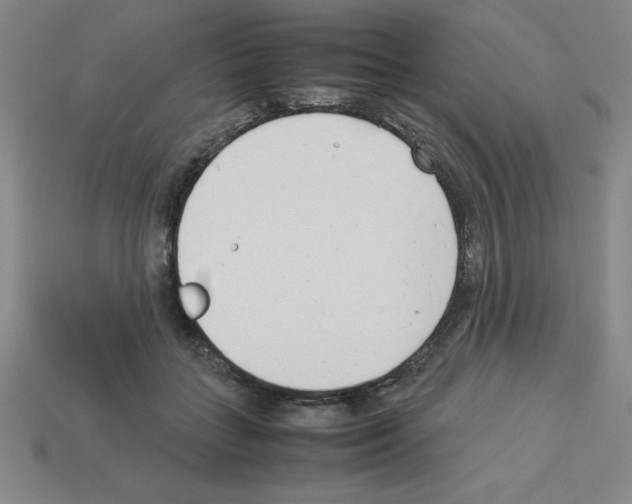 X0000112870555200910021335