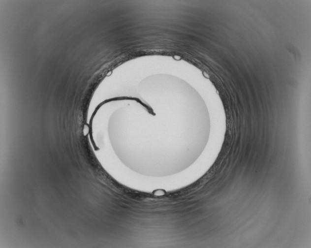 X0000112870556200910021335