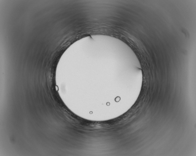 X0000112870558200910021335