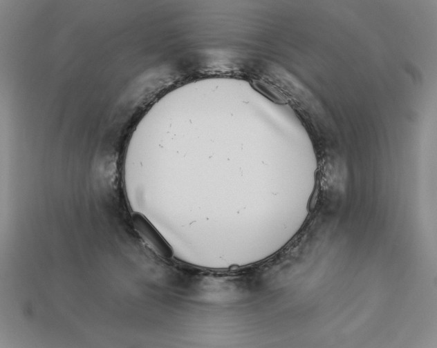 X0000112870560200910021335