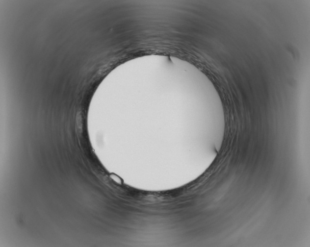 X0000112870562200910021335