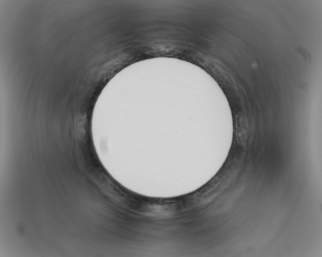 X0000112870563200910021335