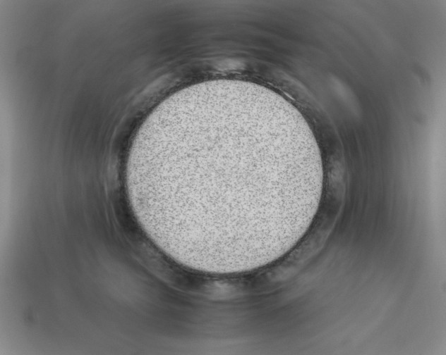 X0000112870565200910021335