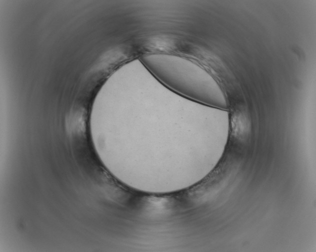 X0000112870570200910021335