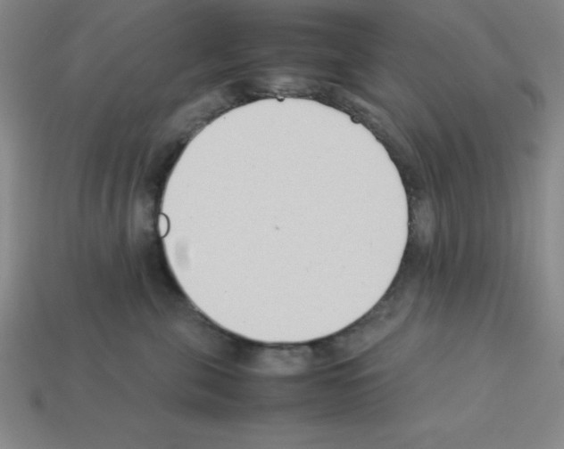 X0000112870571200910021335