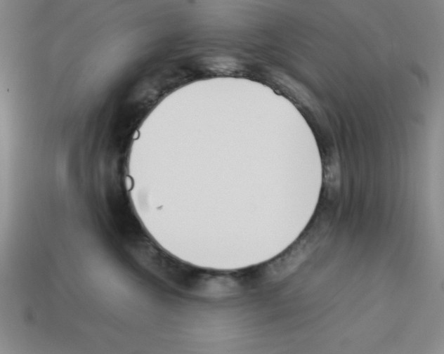 X0000112870572200910021335