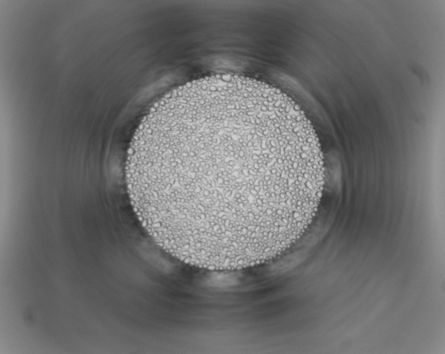 X0000112870573200910021335