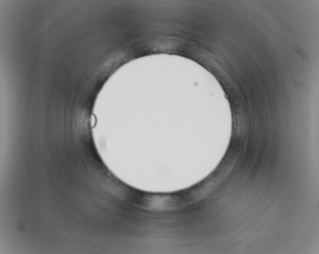 X0000112870575200910021335