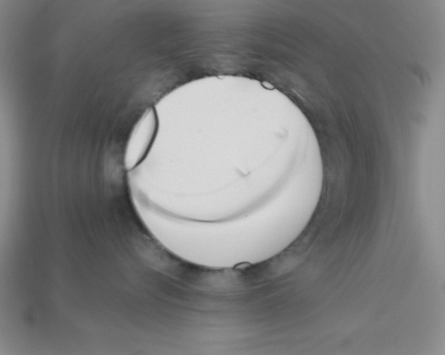 X0000112870576200910021335