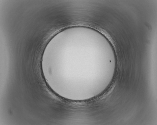 X0000112870577200910021334