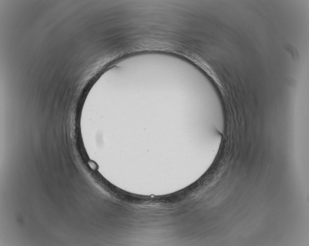 X0000112870581200910021334