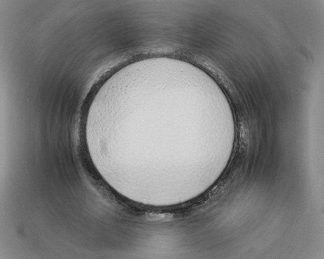 X0000112870582200910021334