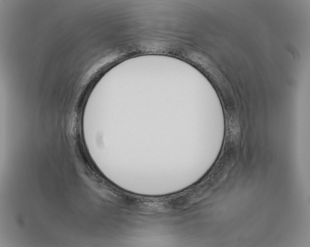 X0000112870583200910021334