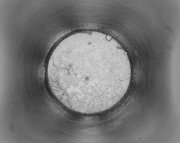 X0000112870584200910021334