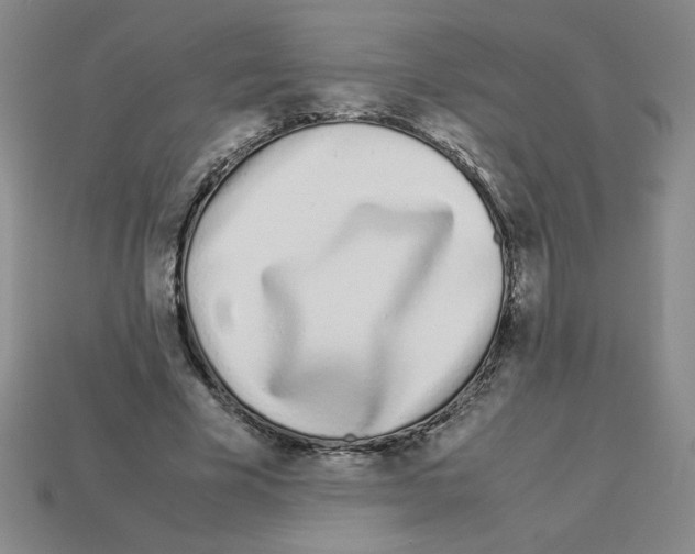 X0000112870585200910021334