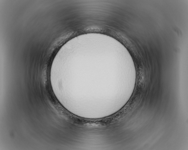 X0000112870586200910021334