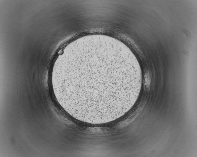 X0000112870588200910021334