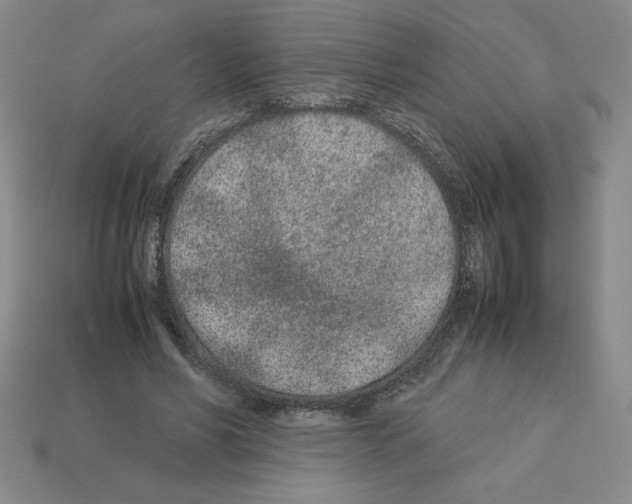 X0000112870590200910021334