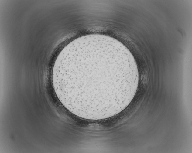 X0000112870591200910021334