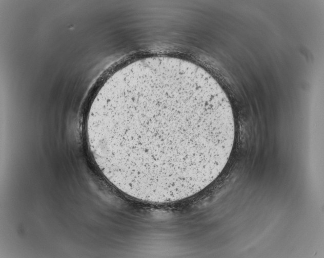 X0000112870592200910021334