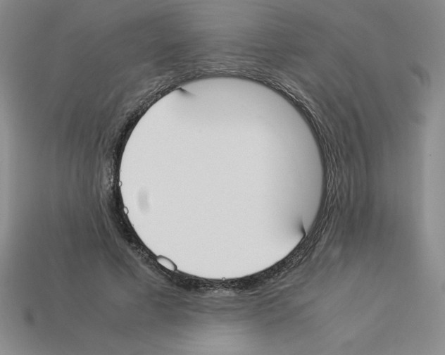 X0000112870593200910021334