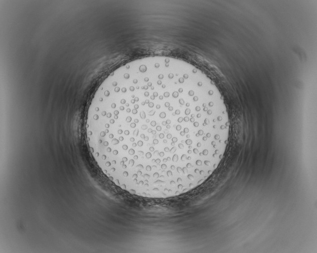 X0000112870594200910021334