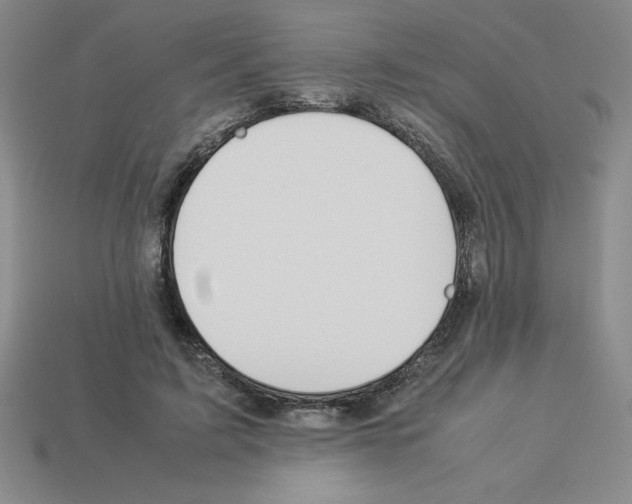 X0000112870595200910021334