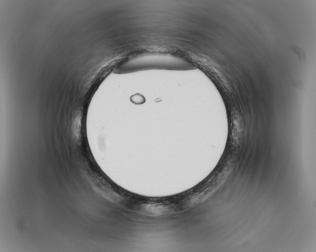 X0000112870596200910021334