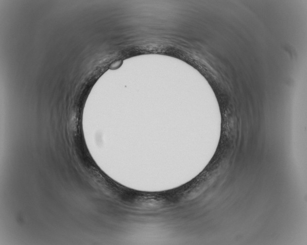 X0000112870597200910021334