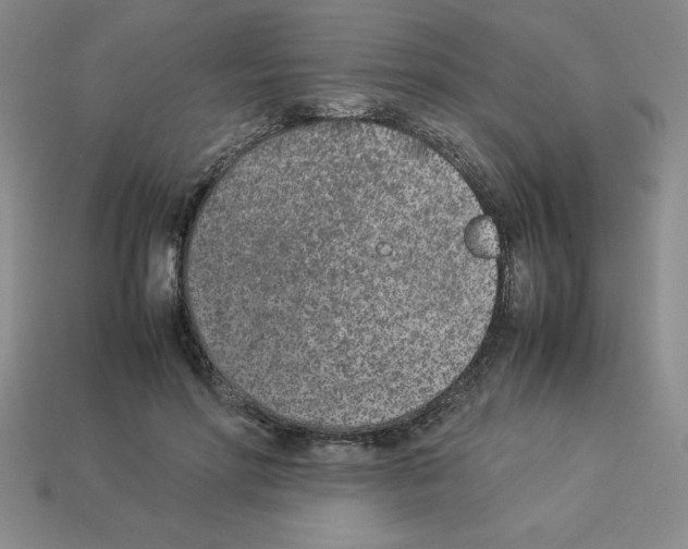 X0000112870598200910021334