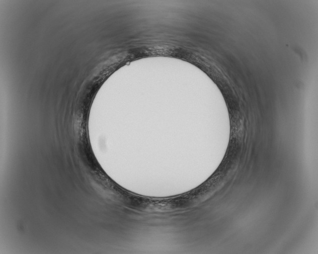 X0000112870599200910021334