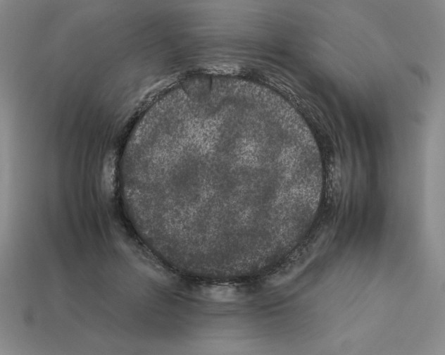 X0000112870600200910021334