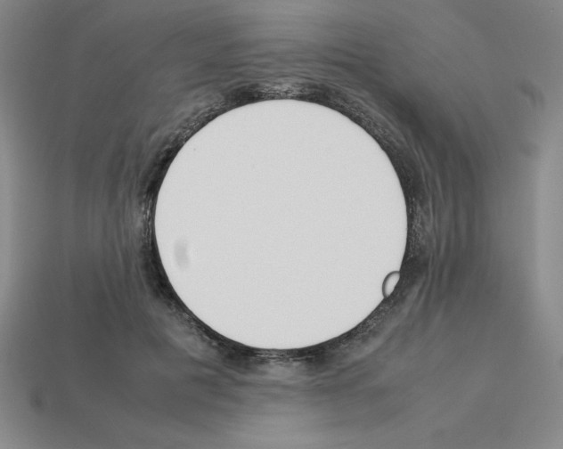 X0000112870601200910021334