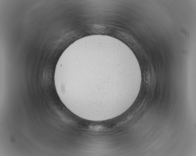 X0000112870602200910021334