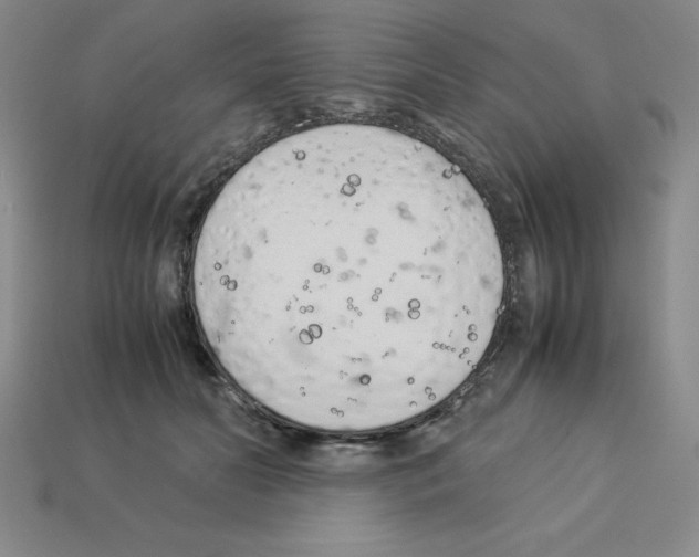 X0000112870606200910021334