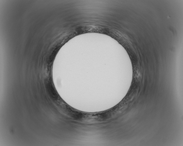 X0000112870607200910021334