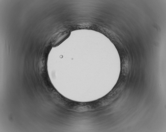 X0000112870608200910021334