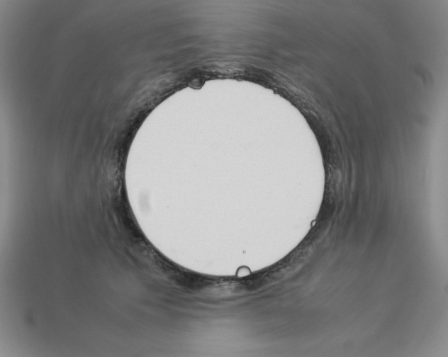 X0000112870609200910021334