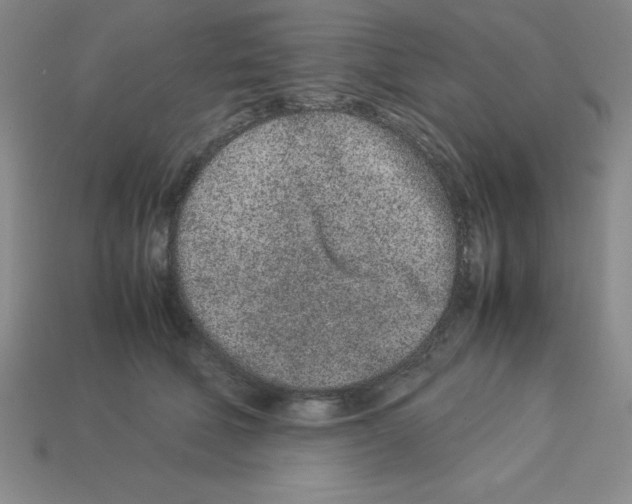 X0000112870610200910021334