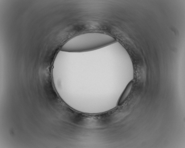 X0000112870611200910021334