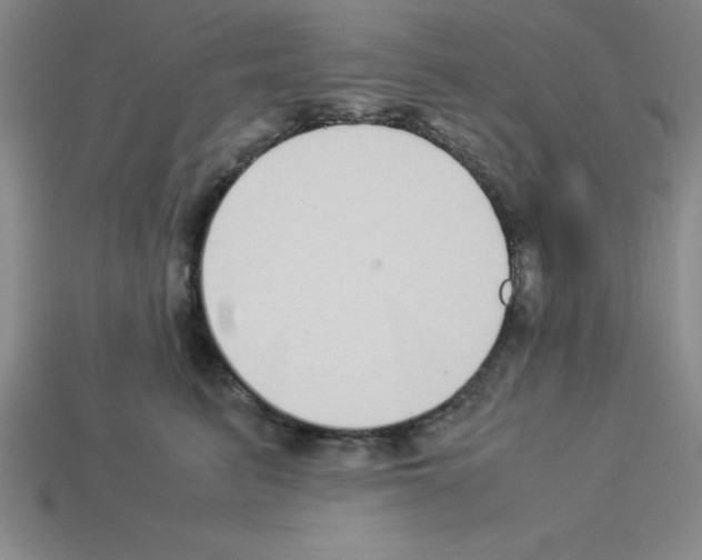 X0000112870615200910021334