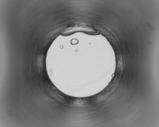 X0000112870616200910021334