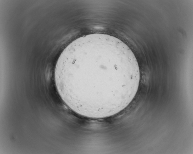 X0000112870618200910021334