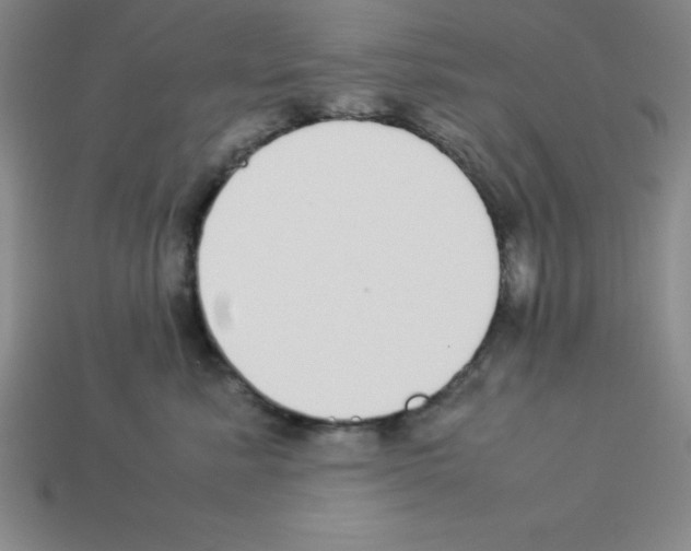 X0000112870619200910021334