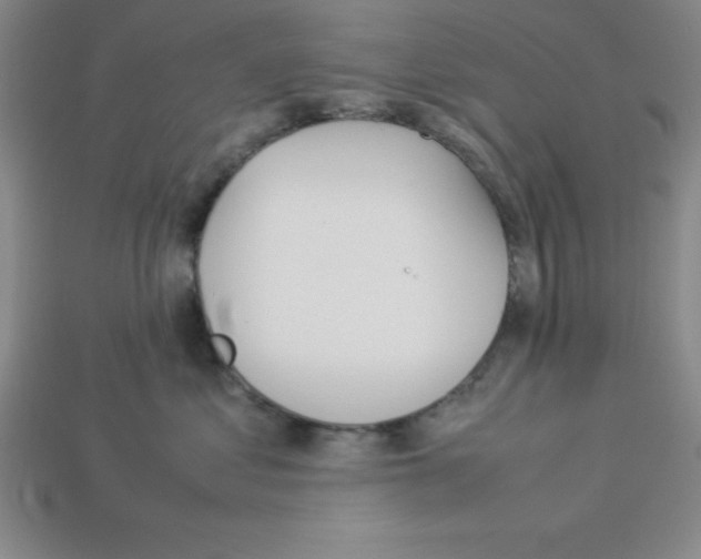 X0000112870621200910021334