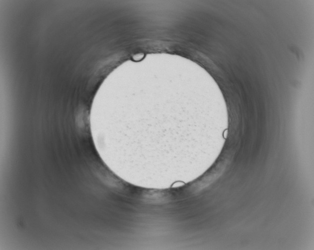 X0000112870624200910021334